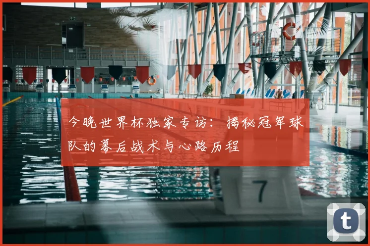 今晚世界杯独家专访：揭秘冠军球队的幕后战术与心路历程