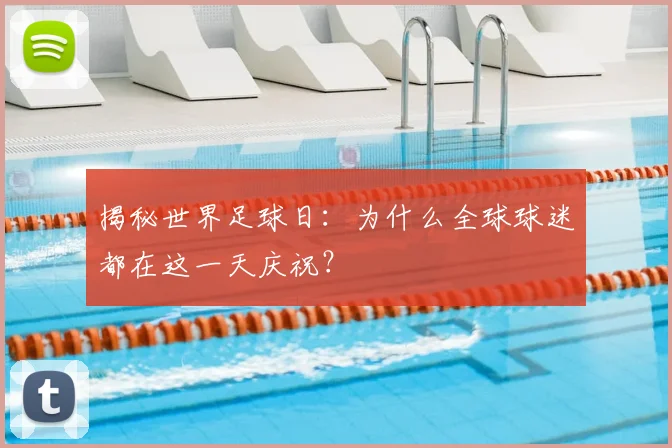 揭秘世界足球日:为什么全球球迷都在这一天庆祝?